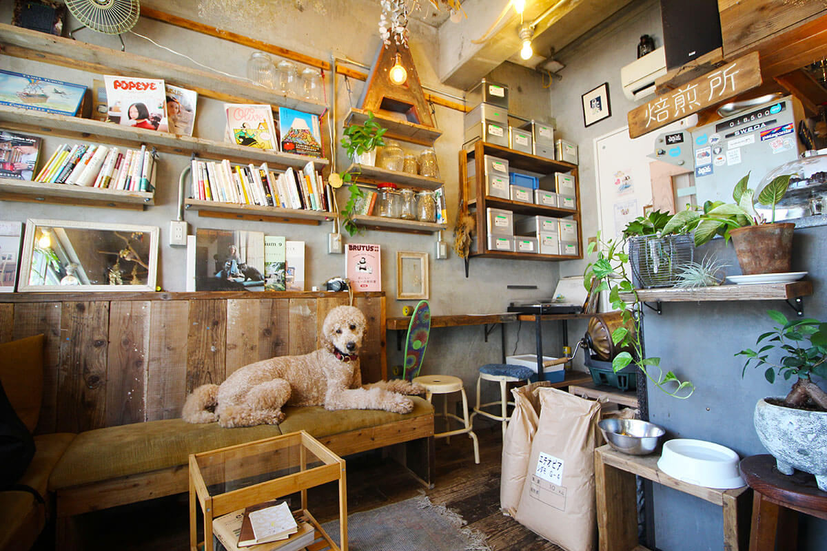 西広島エリアの看板犬 広島市西区のコーヒーショップ Upup のゴン太 公式 西広島タイムス 広島県西部 広島市 廿日市ほか の地域情報サイト