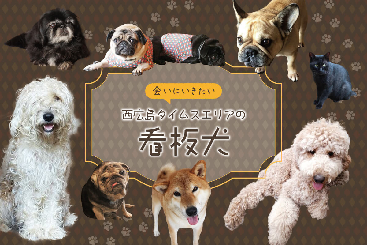 まとめ 犬好き必見 西広島タイムスが選ぶ看板犬のいるお店紹介 動画あり 公式 西広島タイムス 広島県西部 広島市 廿日市ほか の地域情報サイト