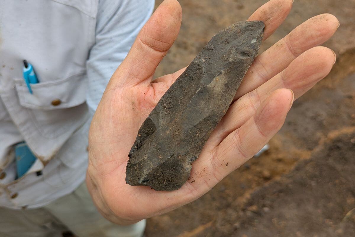 冠遺跡群で新たに石器400点出土 日本人のルーツ解析への一手か 